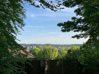 A wooden fence in the foreground is surrounded by lush green trees on either side. Beyond the fence, a cityscape is visible in the distance under a clear blue sky with a few scattered clouds.