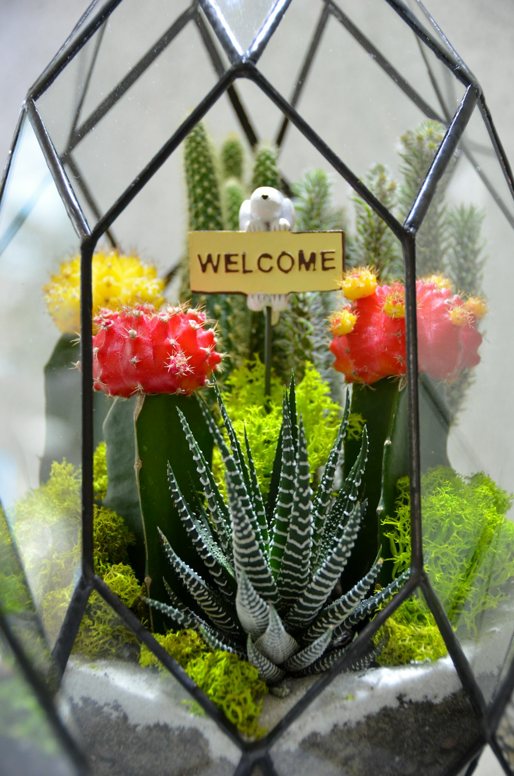 red and green flower bouquet