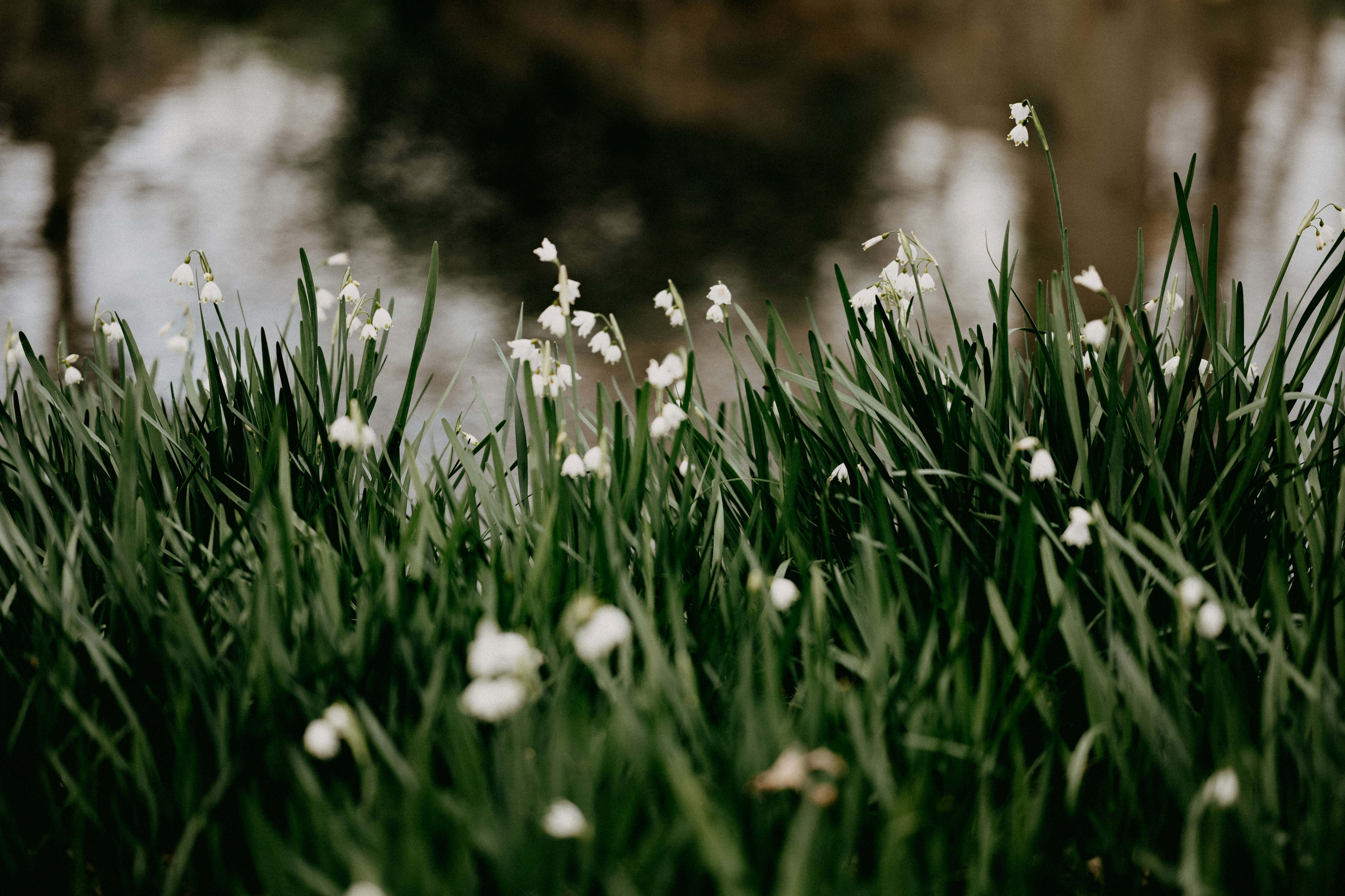 Photo by anniespratt