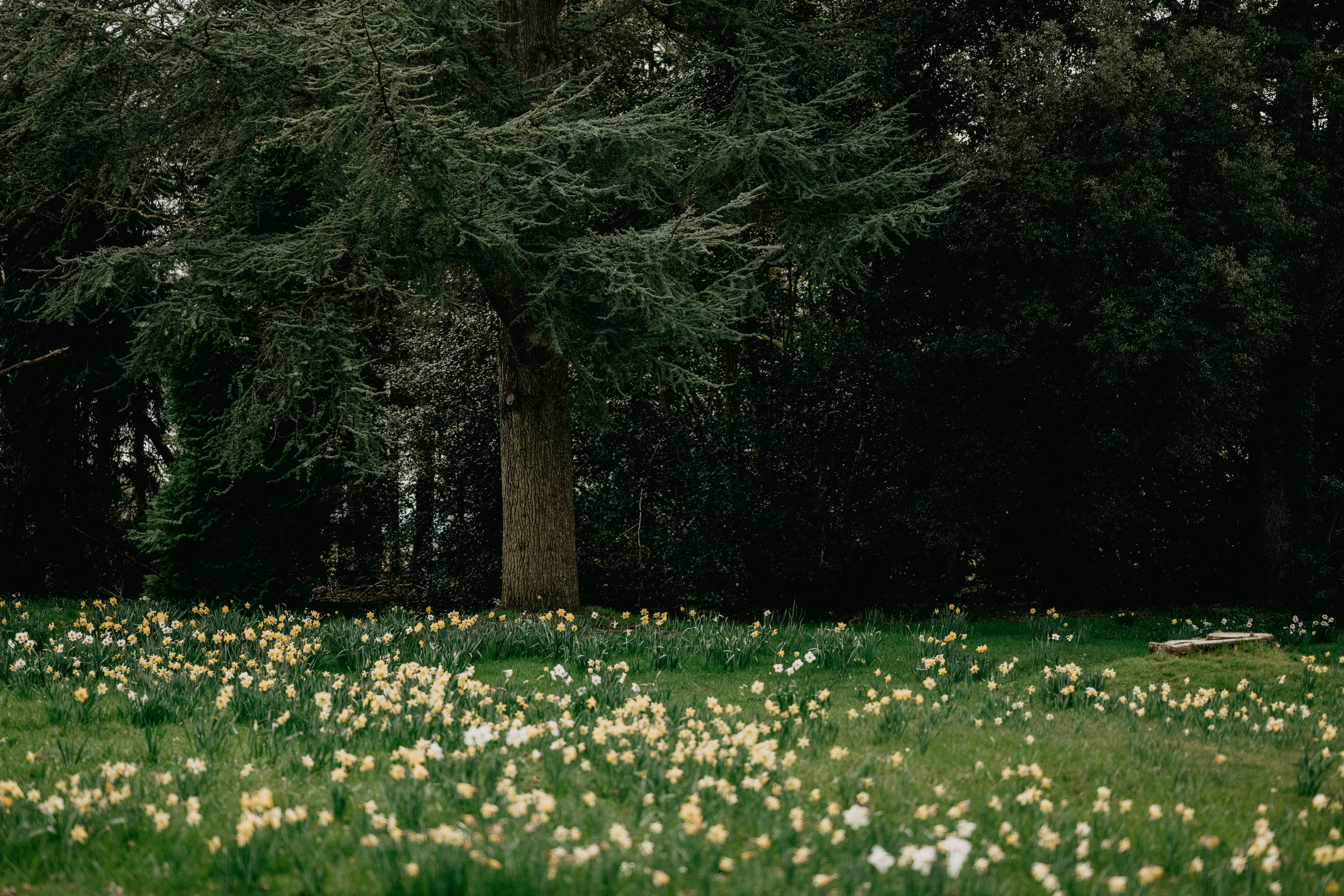 Photo by anniespratt