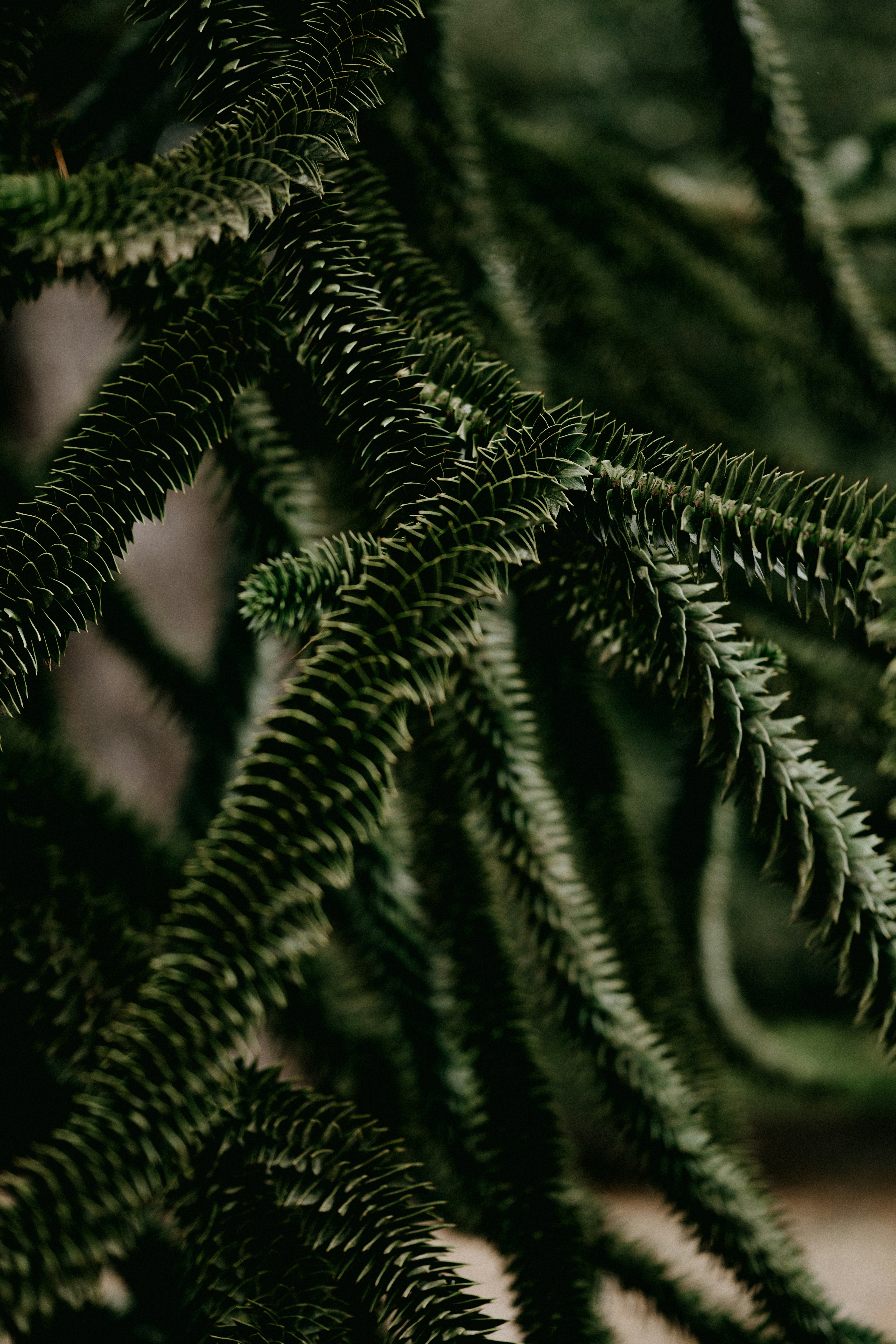 Photo by anniespratt