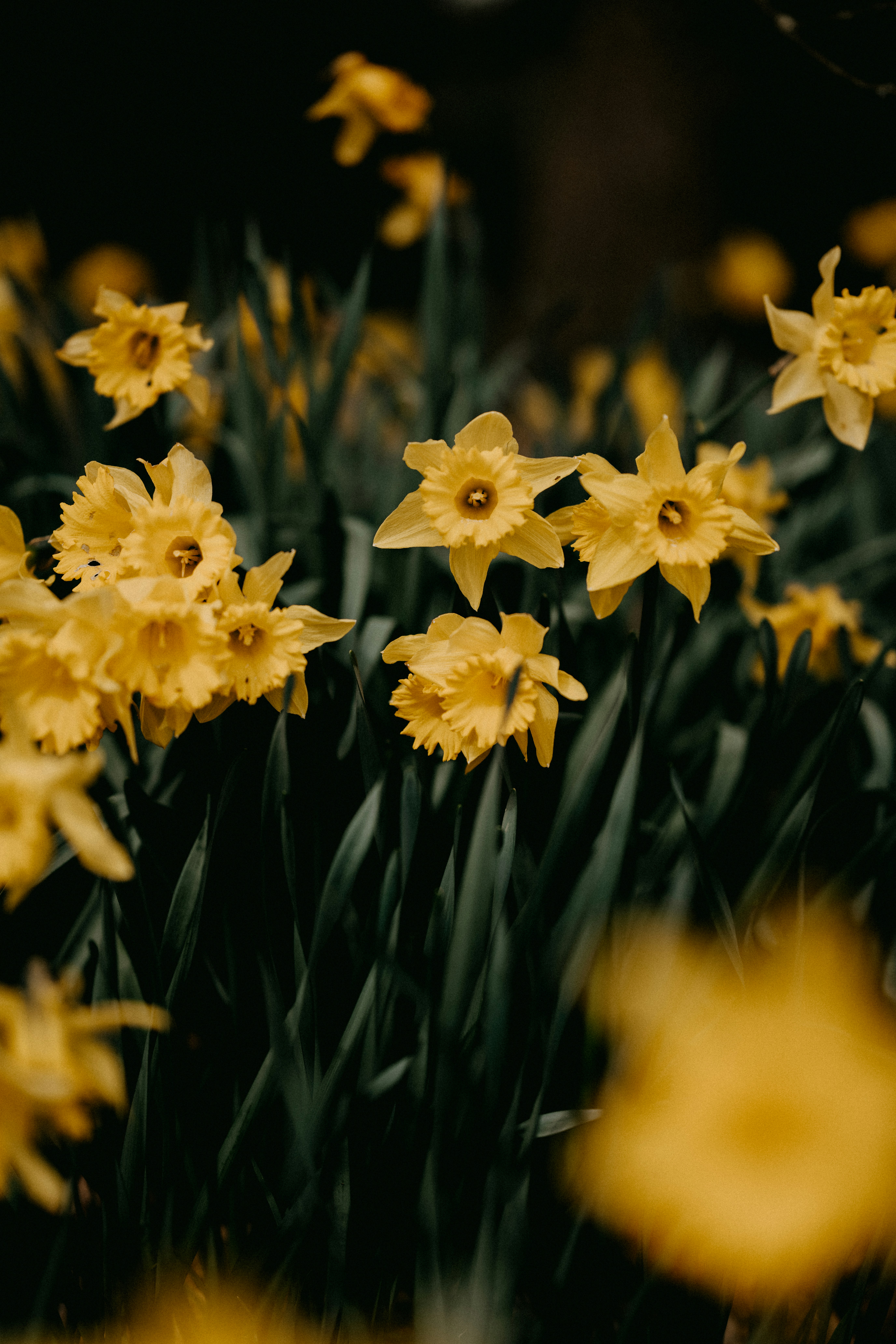 Photo by anniespratt