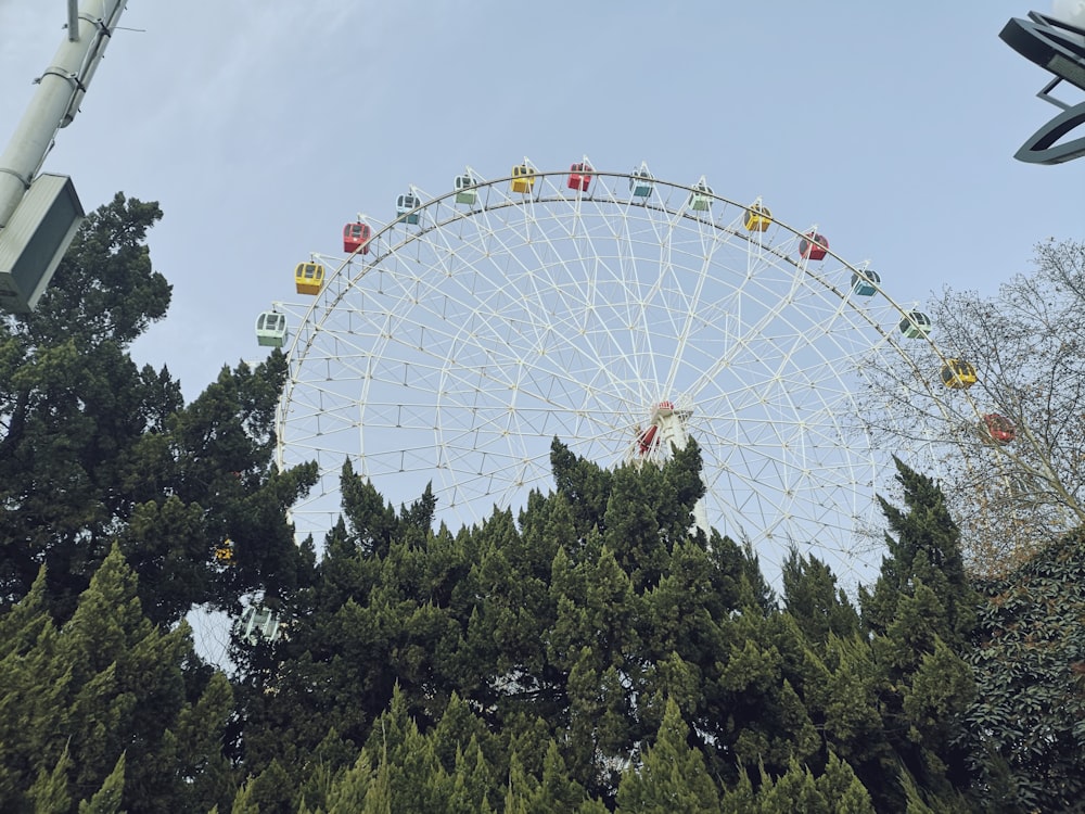 white ferris wheel under blue sky during daytime