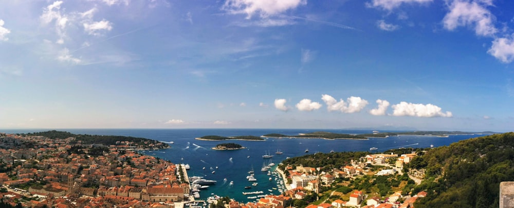 aerial view of city buildings near sea during daytime