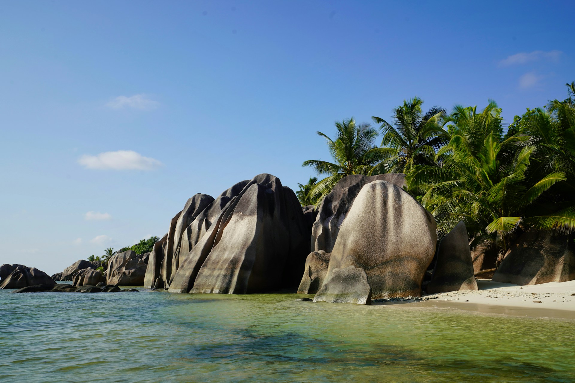 green palm trees near body of water during daytime