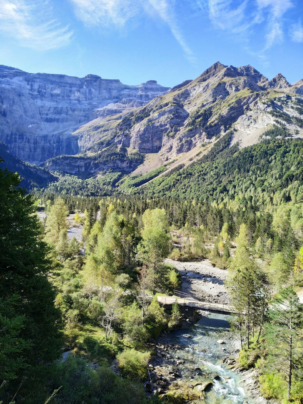 green trees near mountain during daytime