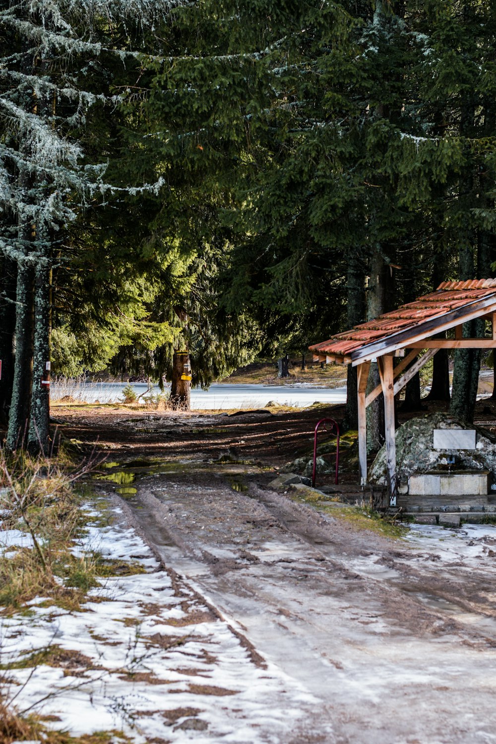 Braunes Holzhaus in der Nähe von grünen Bäumen tagsüber