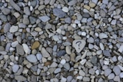 Pebbles on a beach. One pebble has a question mark drawn on it.