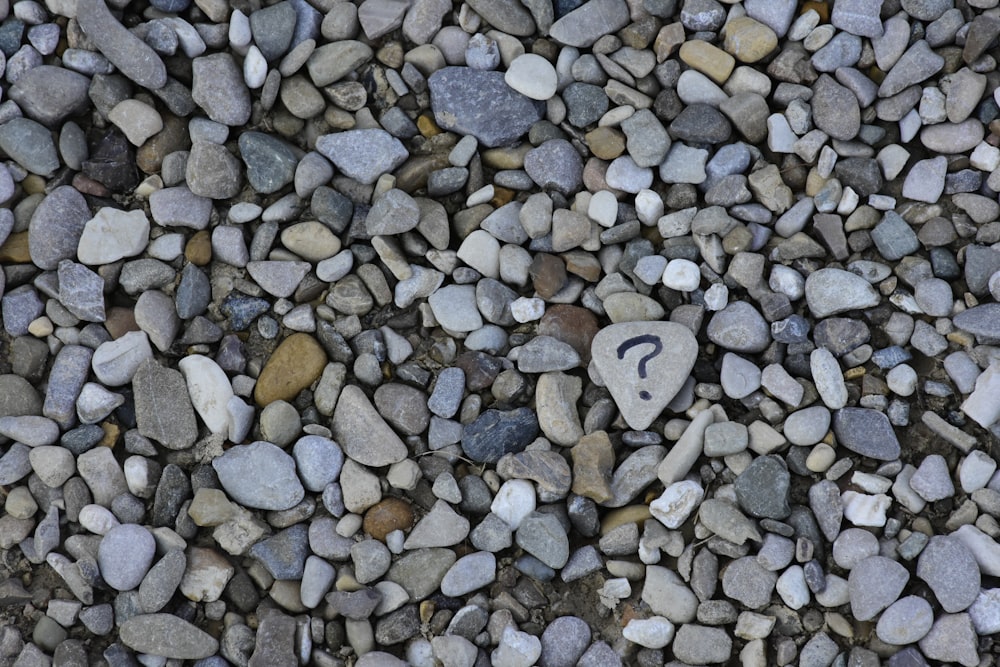 graue und braune Steine auf grauem Grund