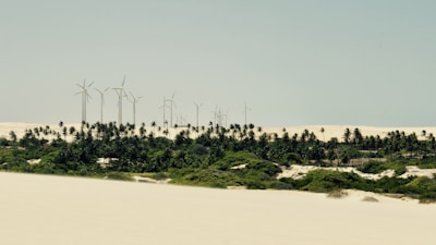 A landscape featuring a line of palm trees in the foreground, with several wind turbines positioned in the background. Sand dunes are visible beneath the palm trees, and the sky is clear, giving the scene a serene and expansive atmosphere.