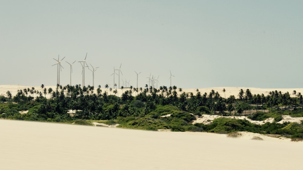 gray scale photo of wind turbines on white sand