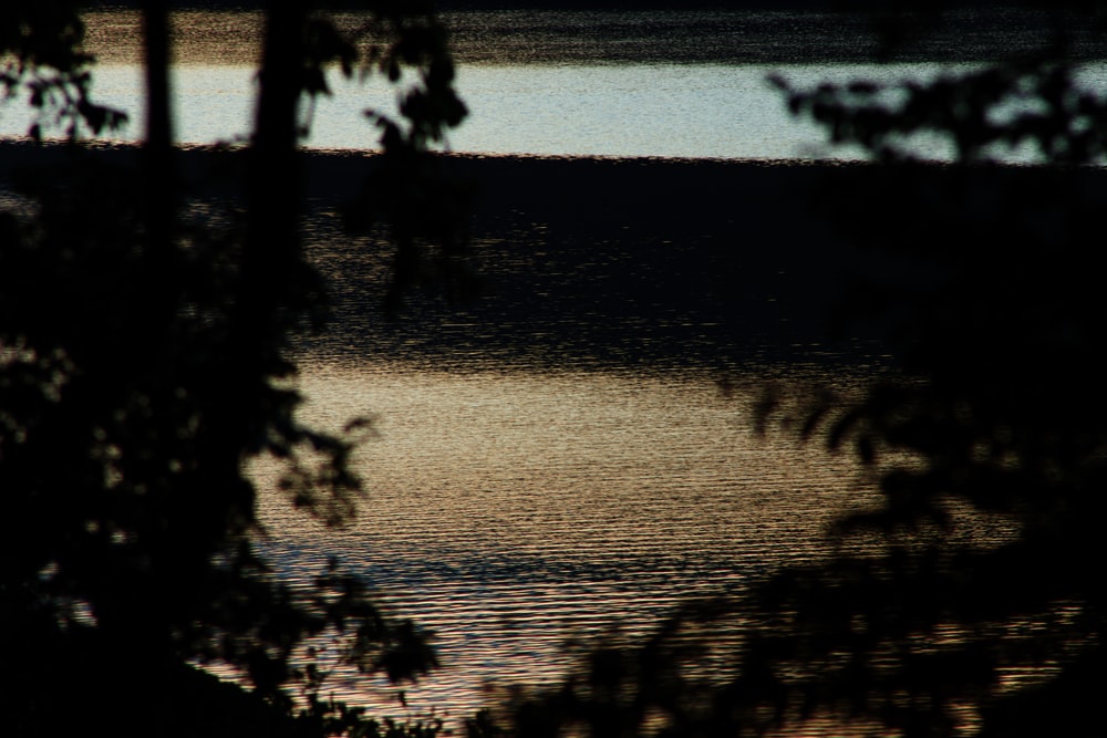 body of water near trees during daytime