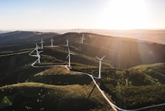 white wind turbines on green grass field during daytime