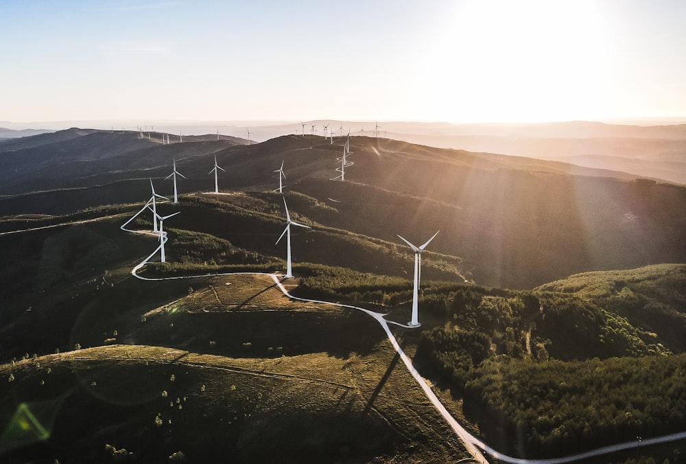 Weiße Windkraftanlagen auf grünem Rasen tagsüber