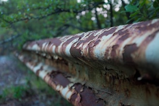 A weathered iron railing showing signs of rust and wear in an outdoor setting.