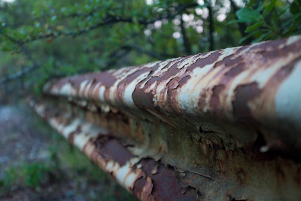Close-up of a balcony railing with rust stains and peeling paint.