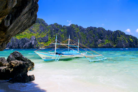 blue and white boat on seashore during daytime