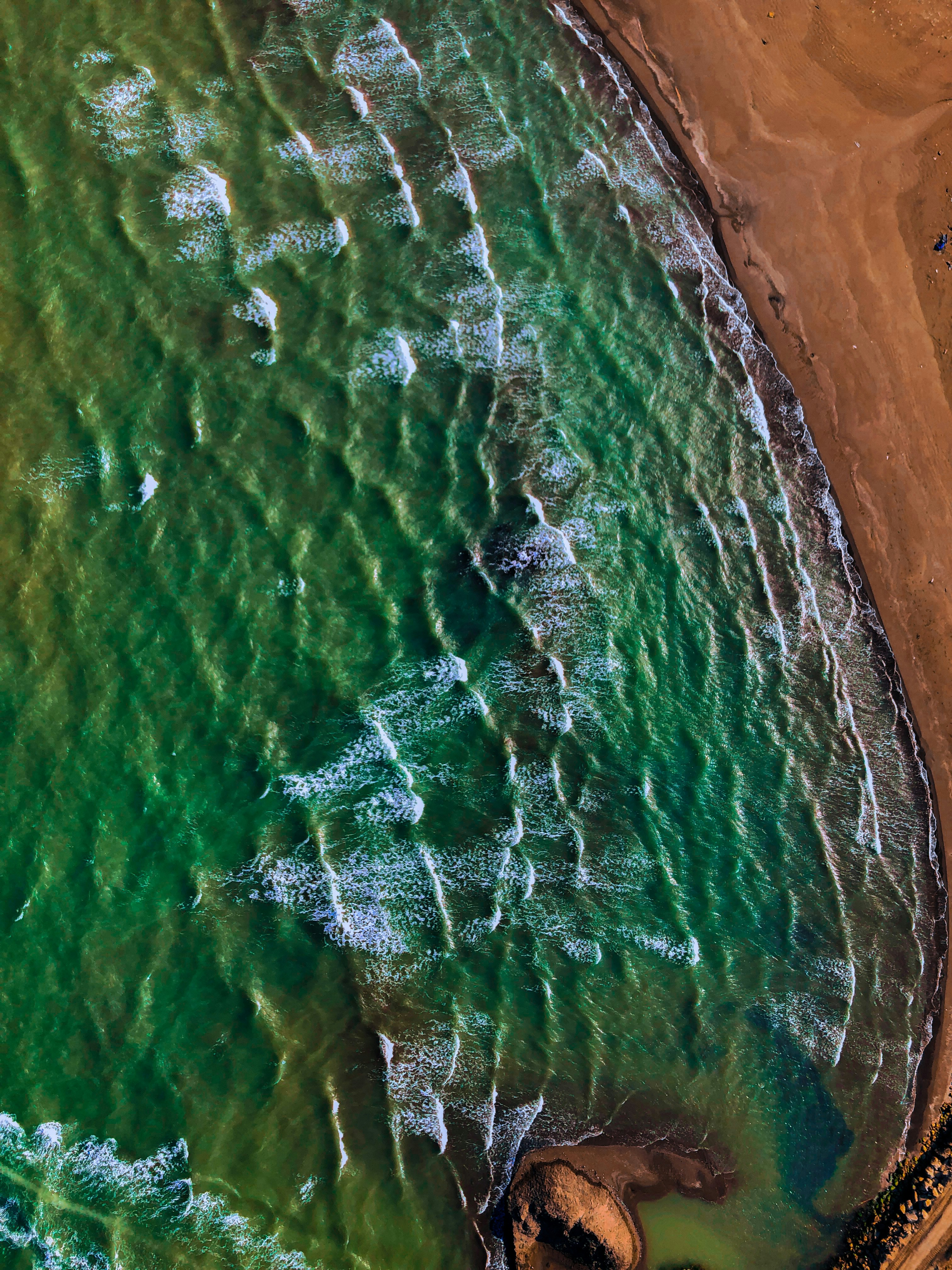 Photo by benyamin_bohlouli