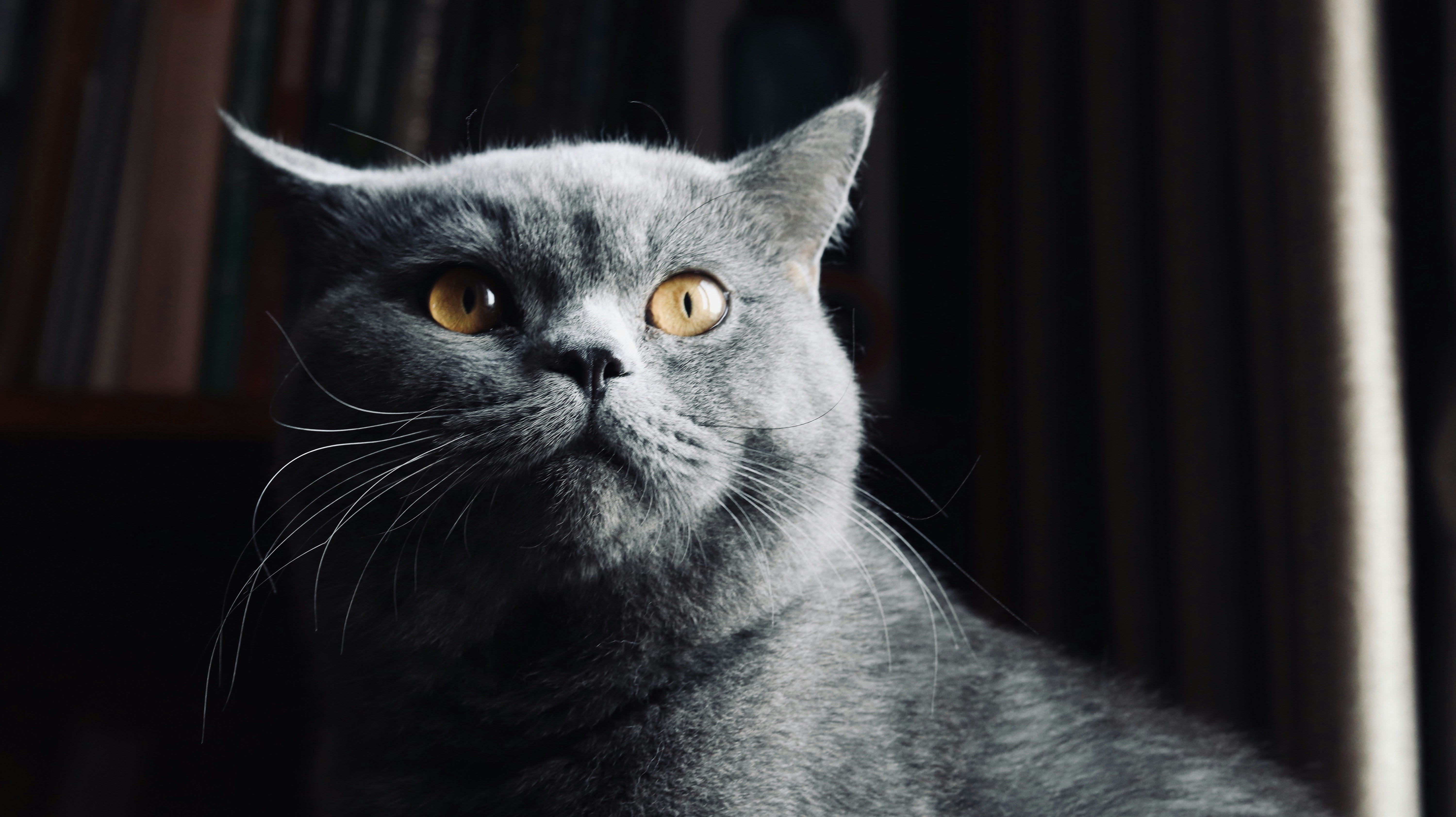 photo-1616597988670-1ab9e9a51623?ixid=M3