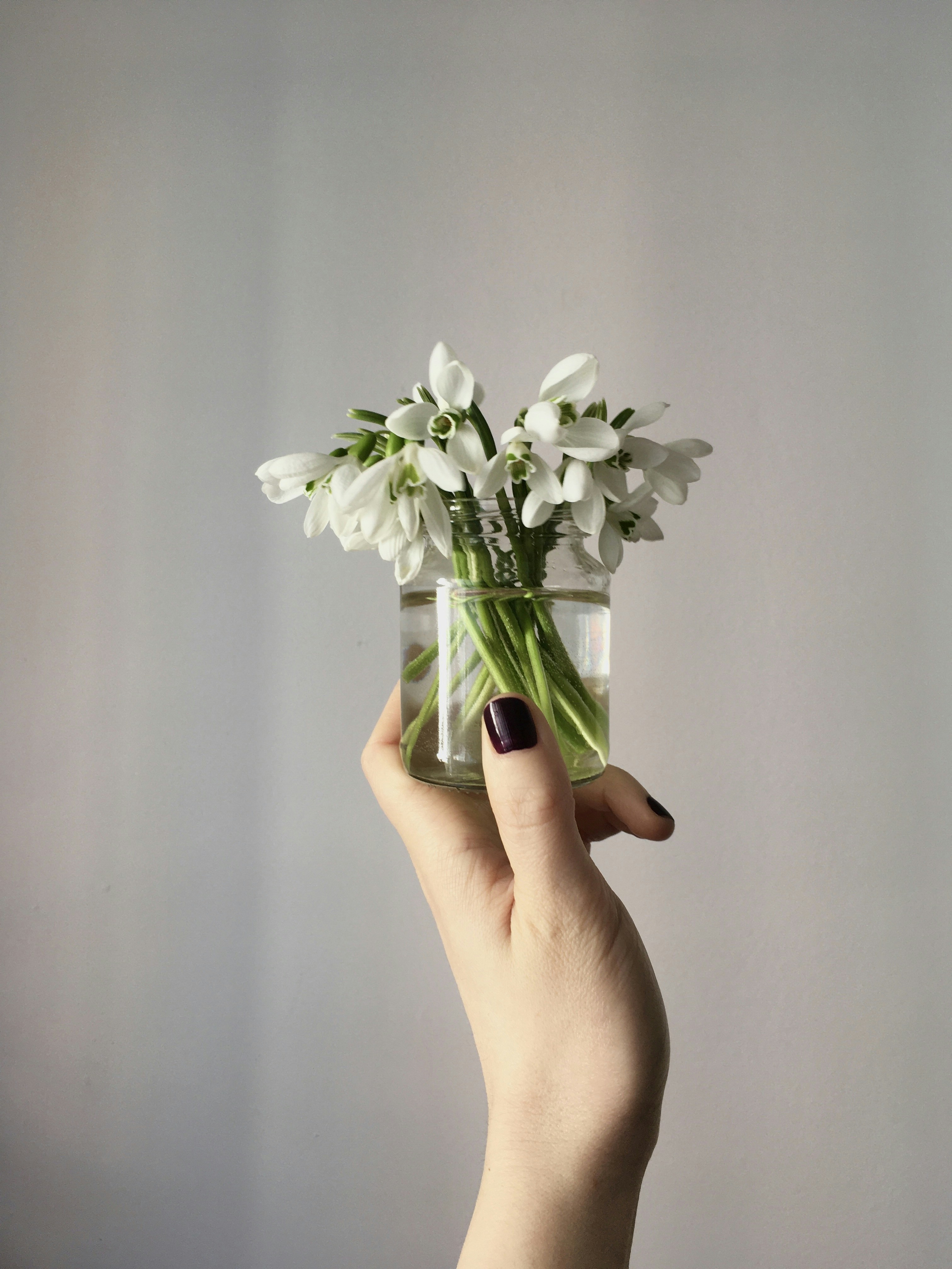 Photo by corina_scurtu