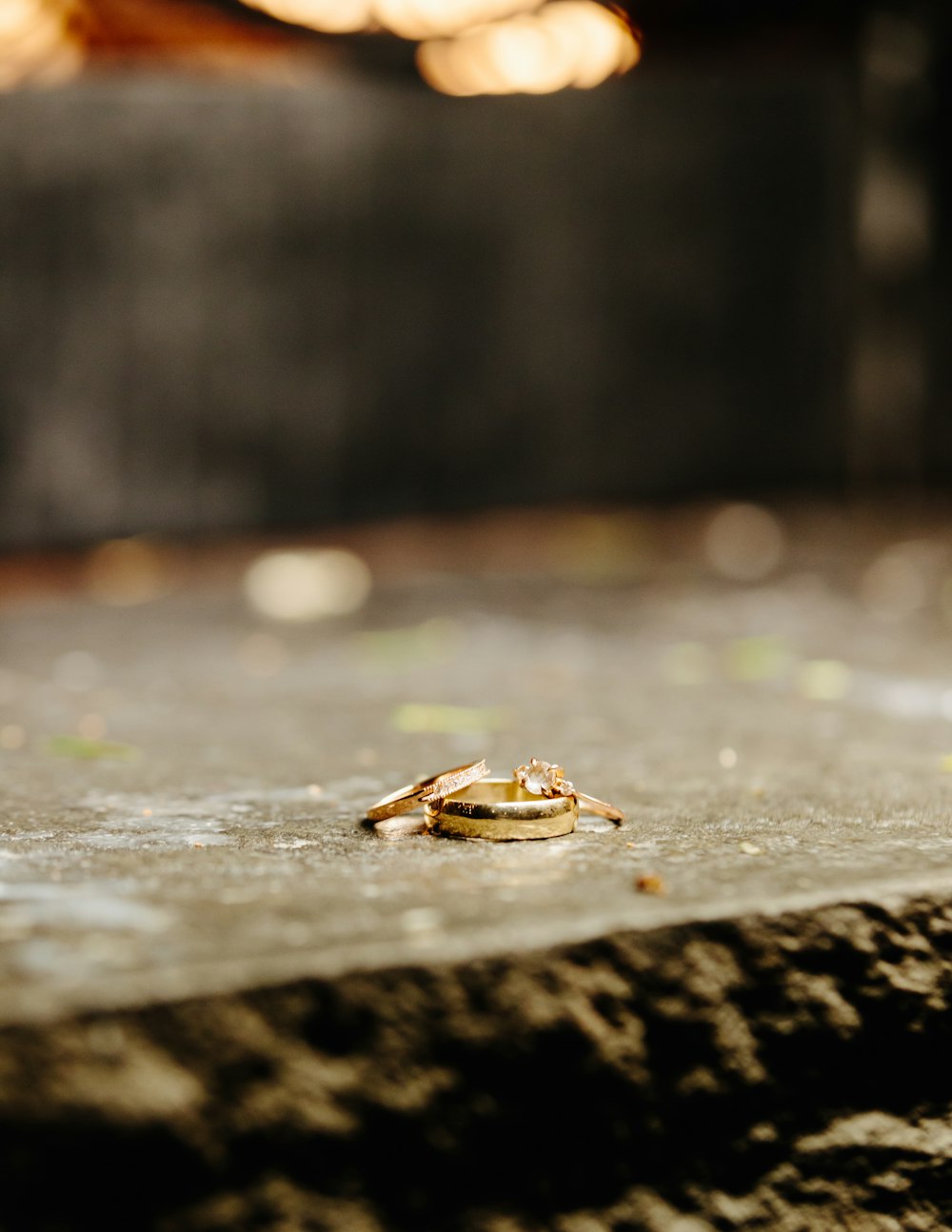brown frog on gray concrete floor