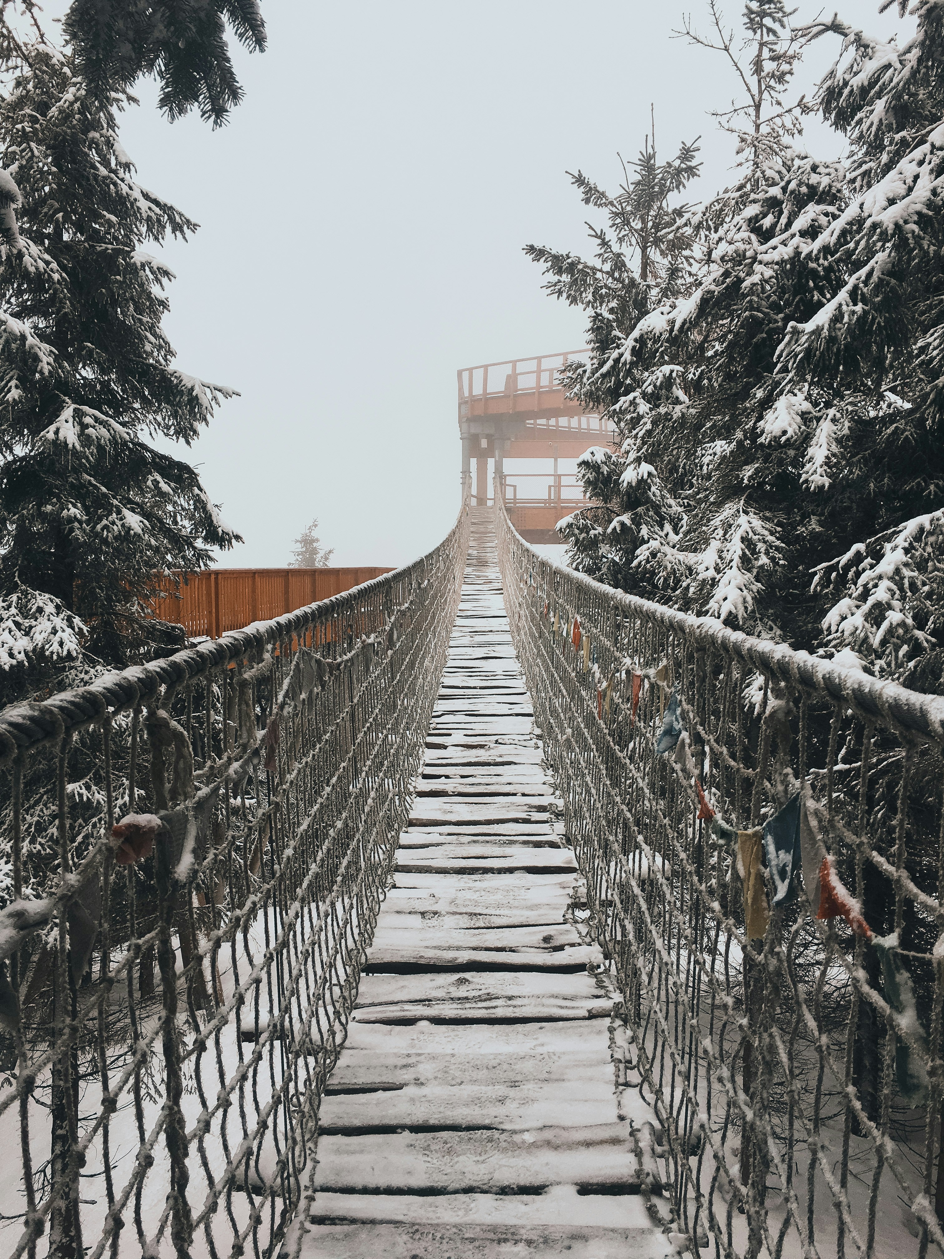 Photo by annasurovkova