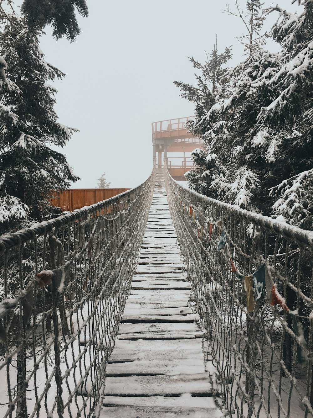 brown wooden bridge with snow covered trees