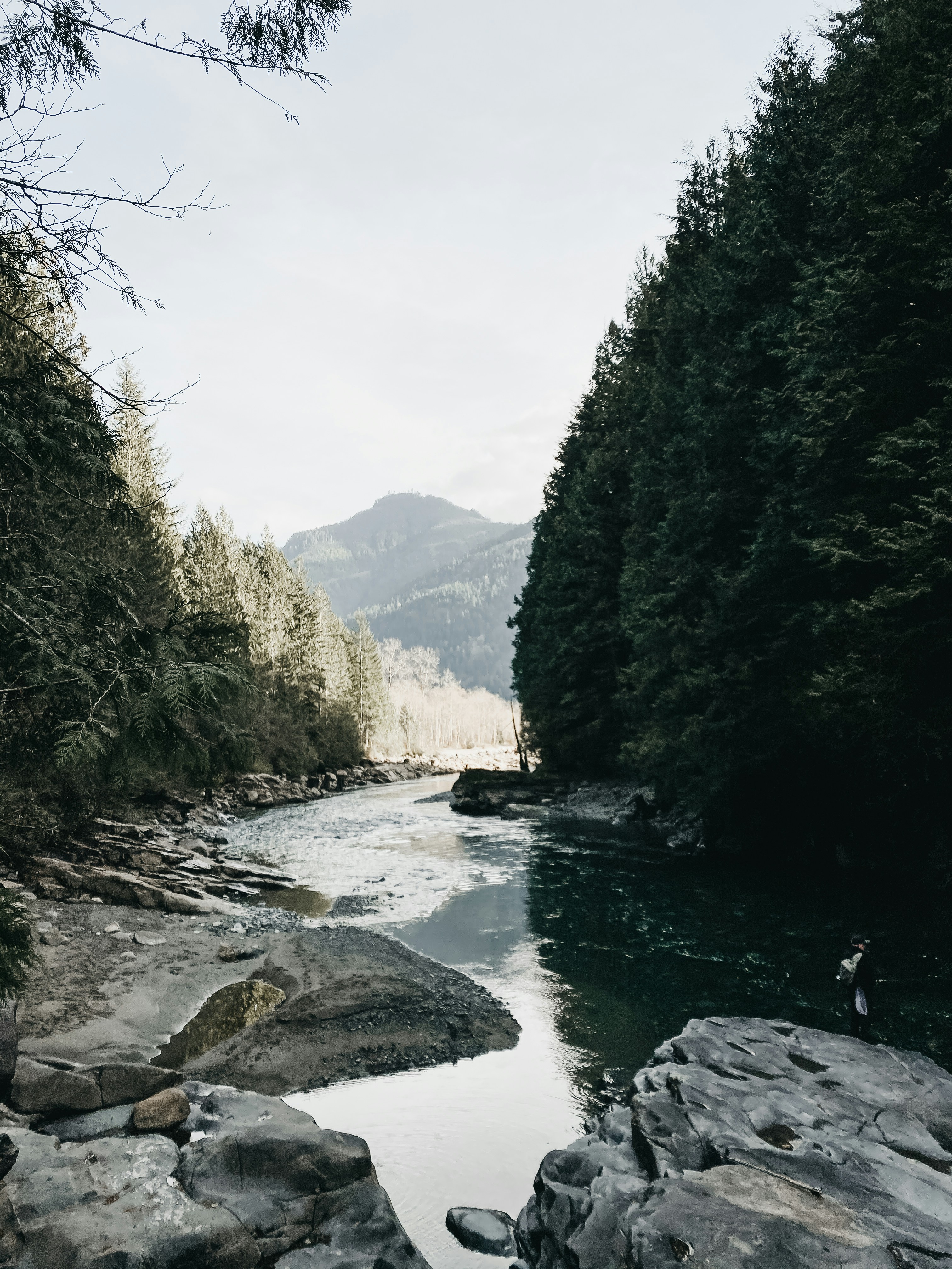 Photo by laurynkelman