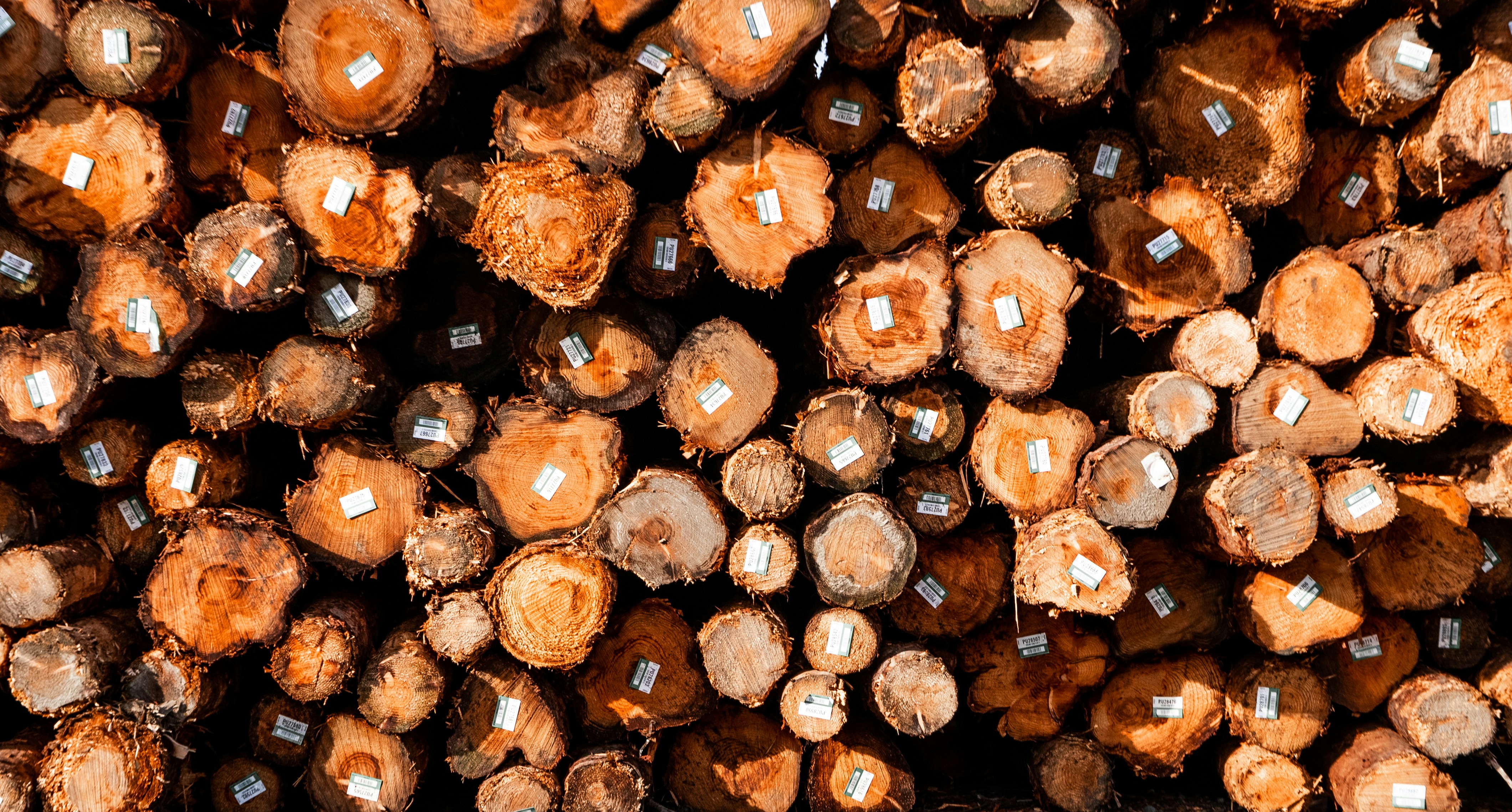 Upgrade Loki to chart version 2.8.7 and app version v2.6.1