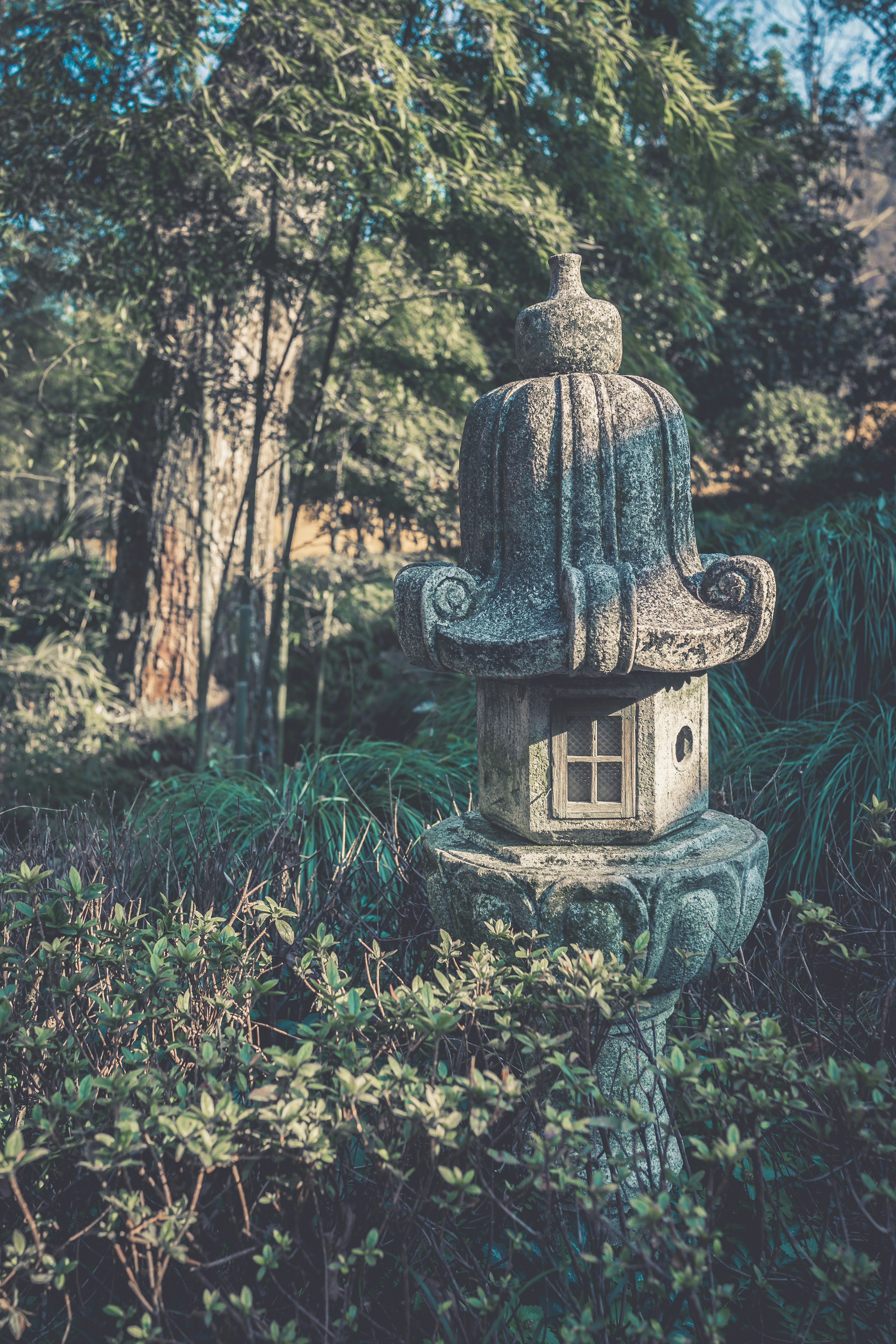 Photo by mocking_bird