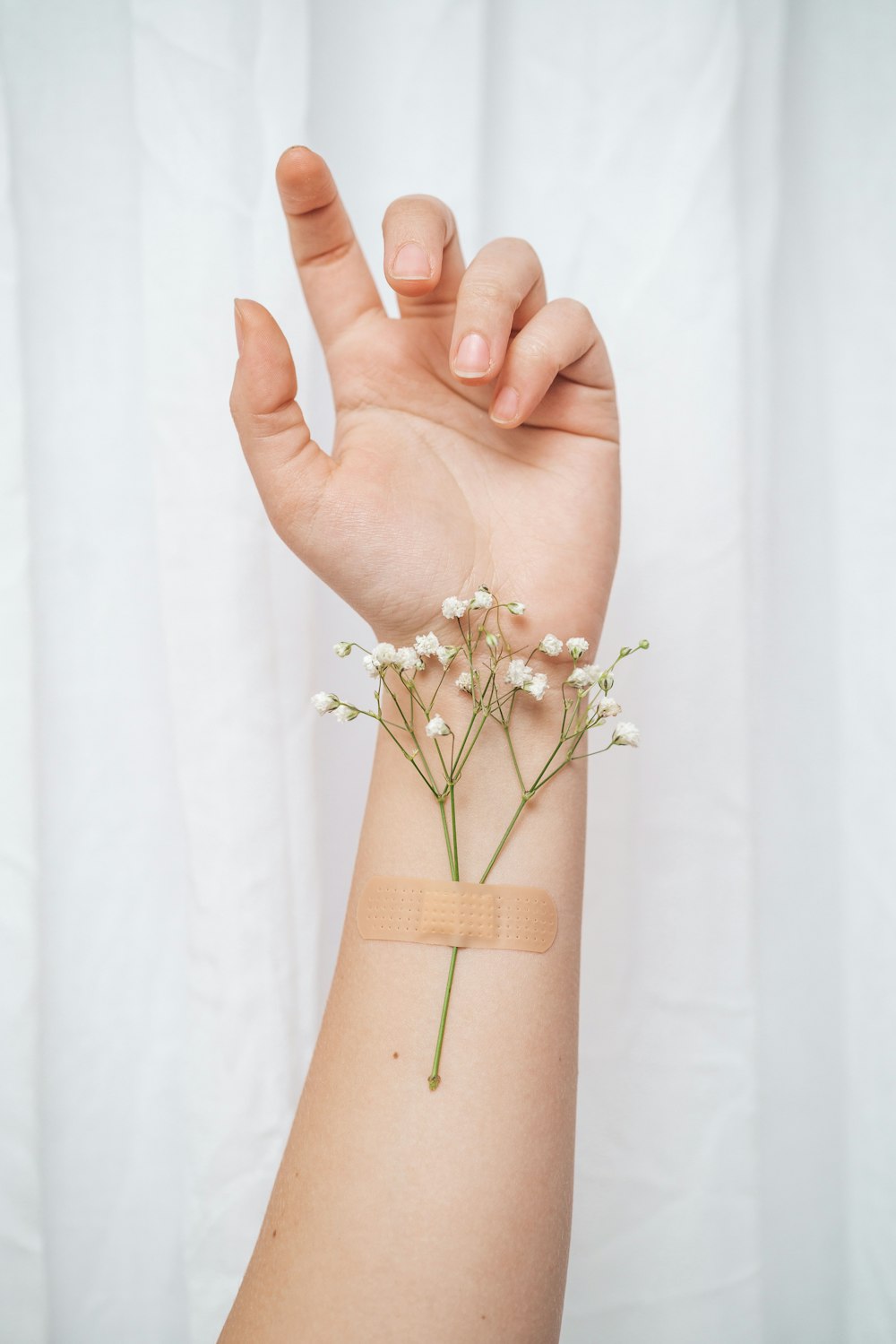 white flowers on persons hand