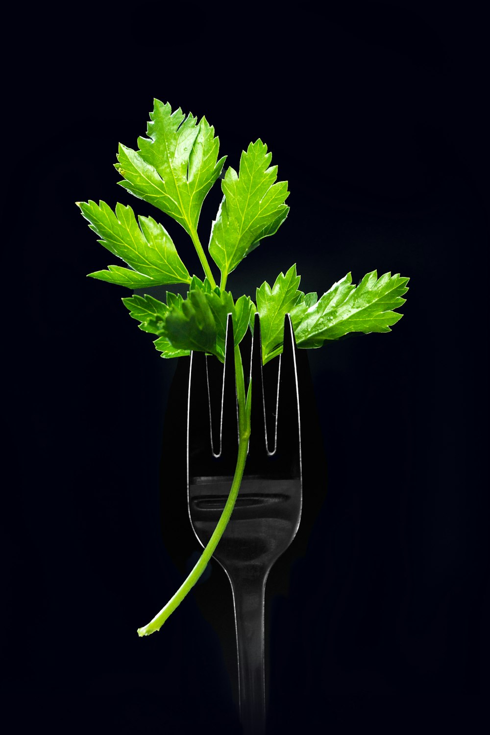 透明なガラスの花瓶に緑の植物
