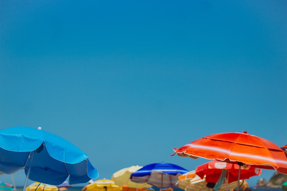 blue and red umbrellas on beach during daytime