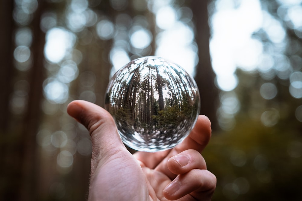 Persona sosteniendo una bola de vidrio transparente