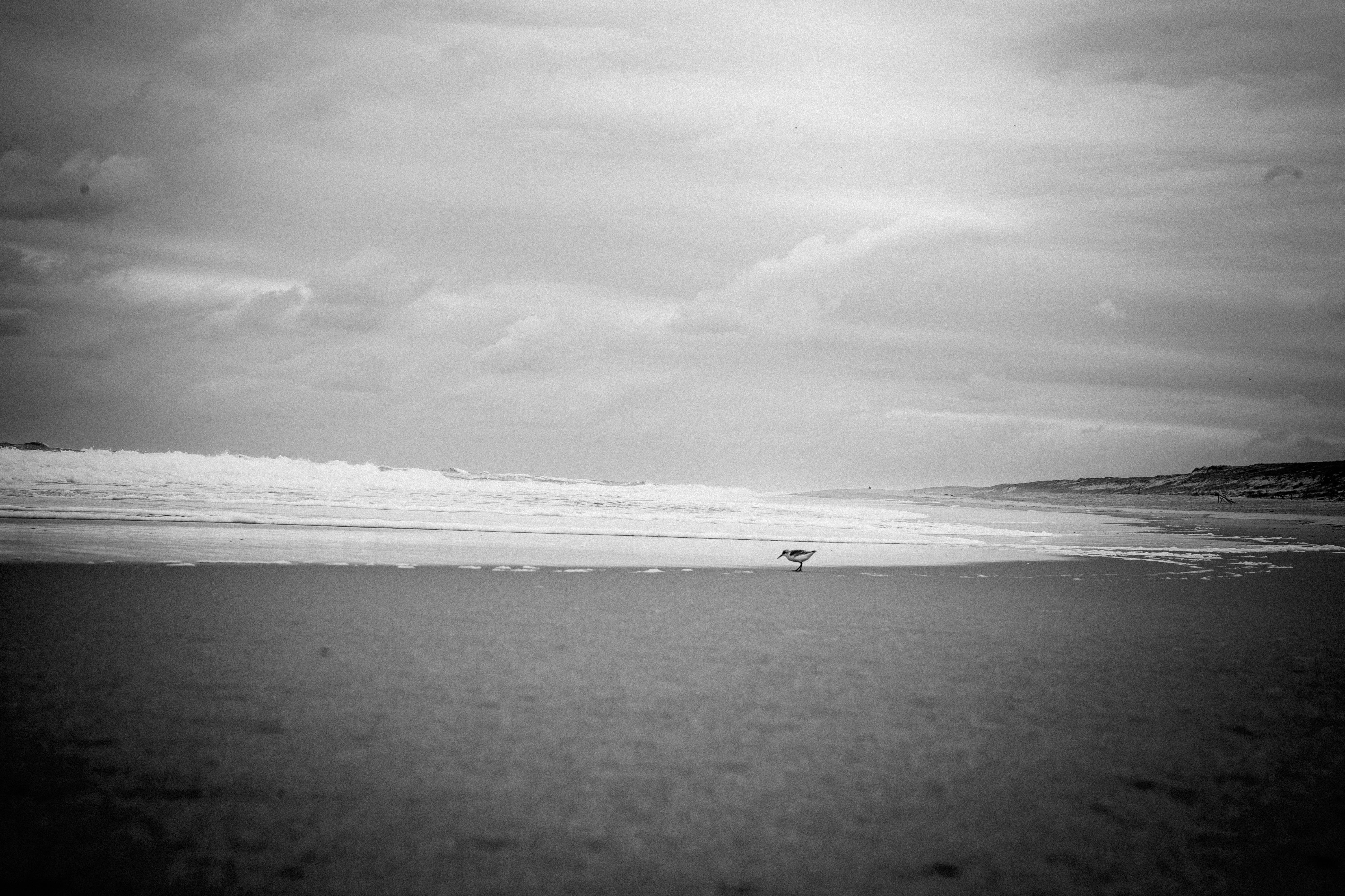 Photo by huefnerdesign