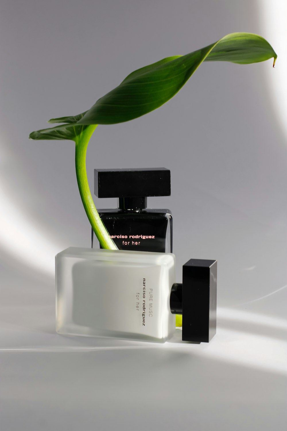 white and black calvin klein perfume bottle