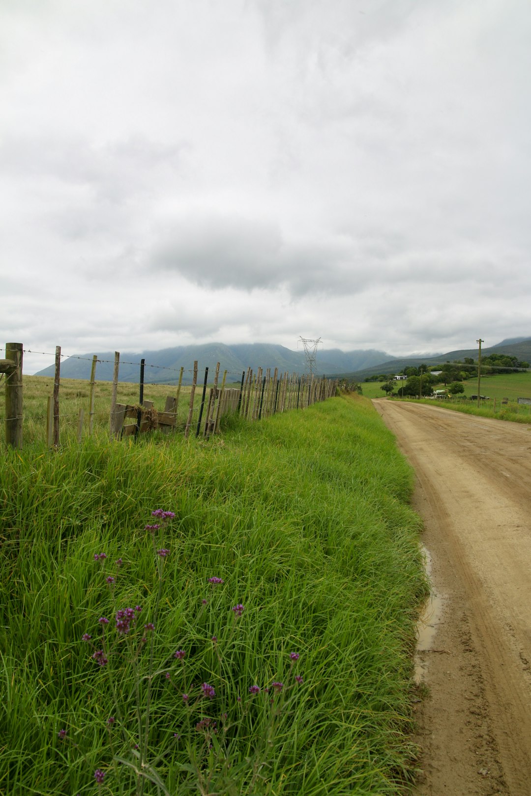 brown dirt road between green grass field under white clouds during daytime