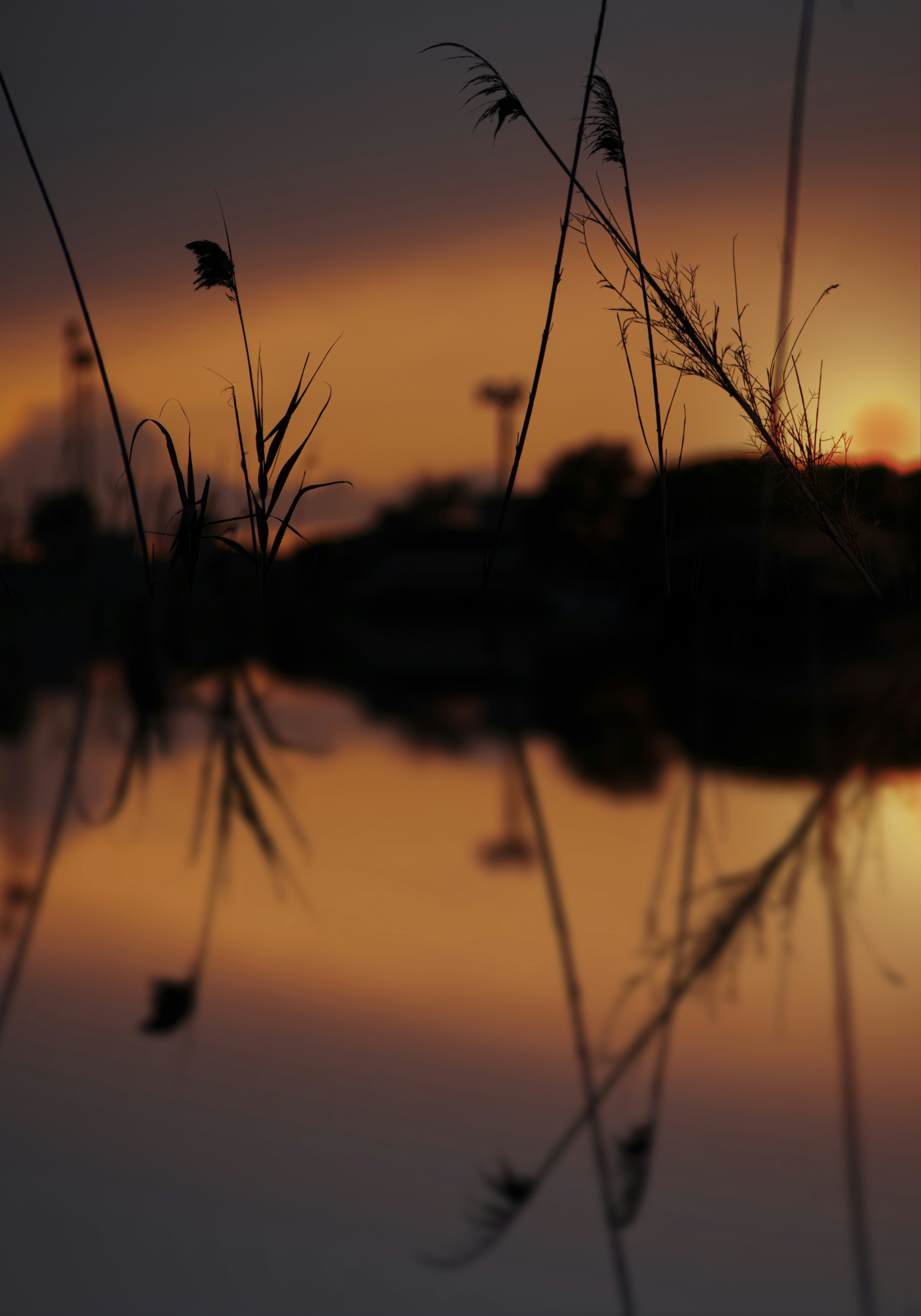 Photo by davidcultre