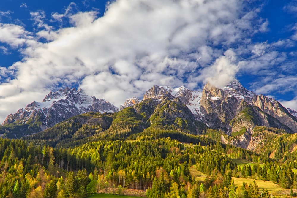 green trees on mountain under white clouds during daytime