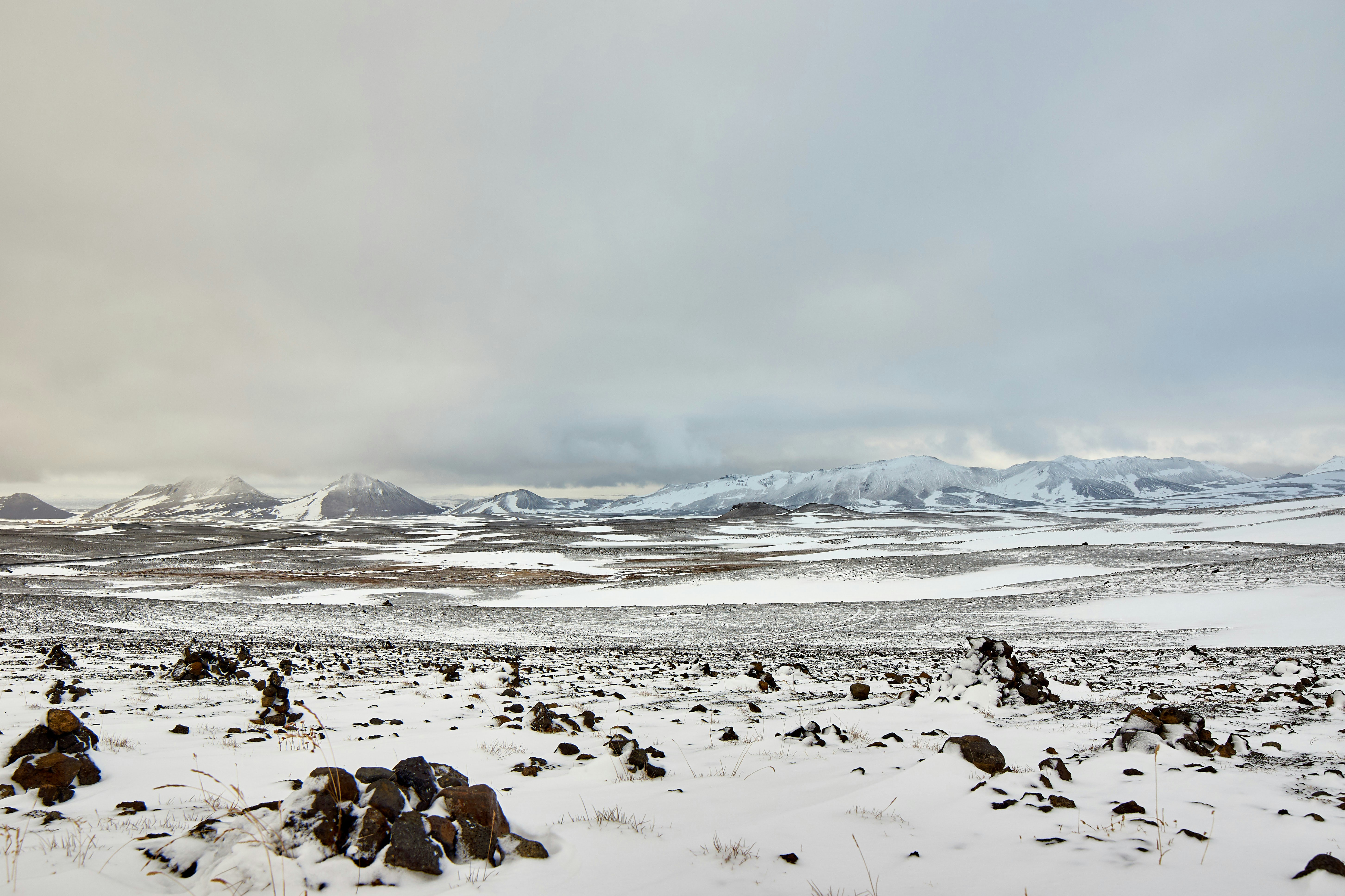 Photo by wolfgang_hasselmann