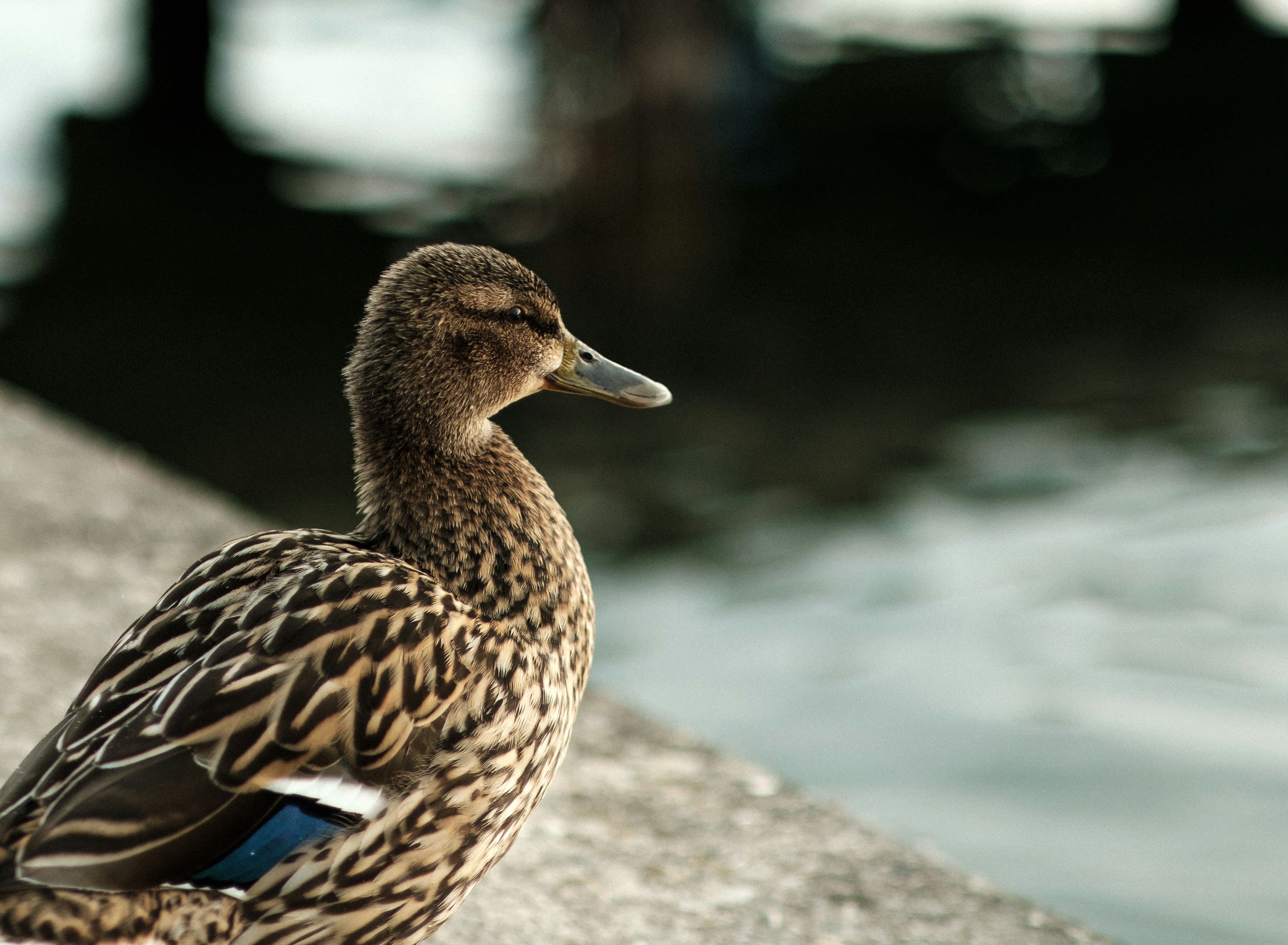 Photo by aurelienthms