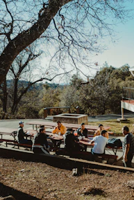A group of friends enjoying an outdoor picnic under sunny skies.