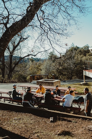 A smiling group of people named Allen gathered at a sunny park picnic.