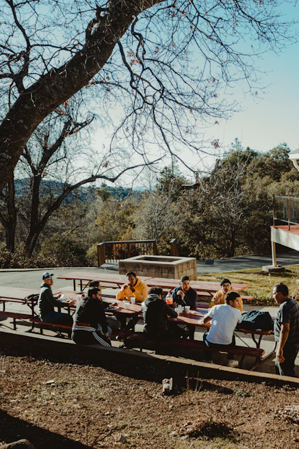 A lively group enjoying a sunny outdoor get-together at the farmhouse with picnic blankets and laughter