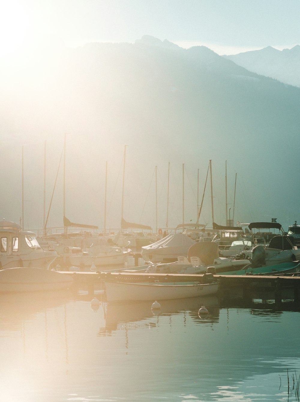 Weiße und braune Boote legen tagsüber an