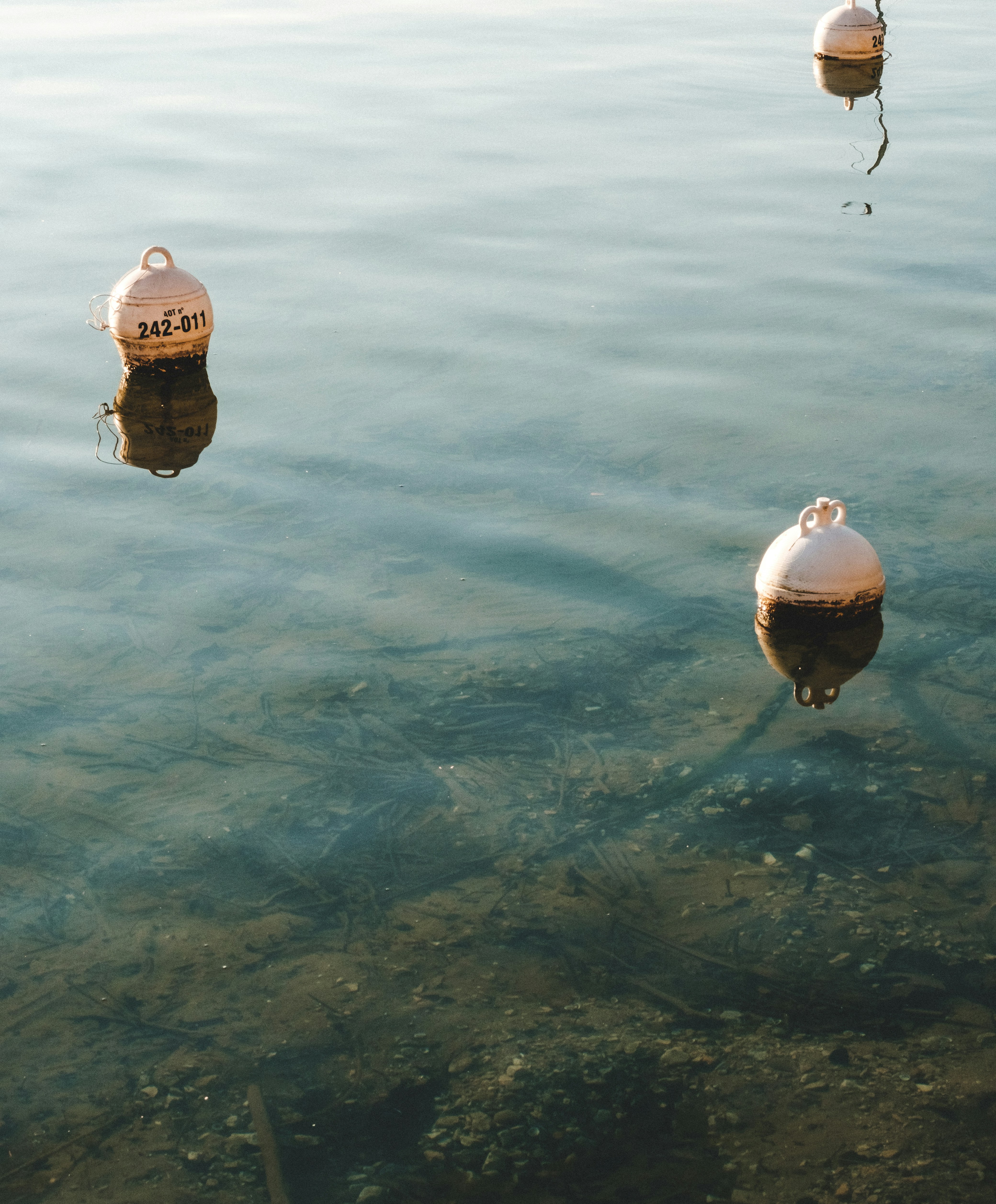 Photo by aurelienthms