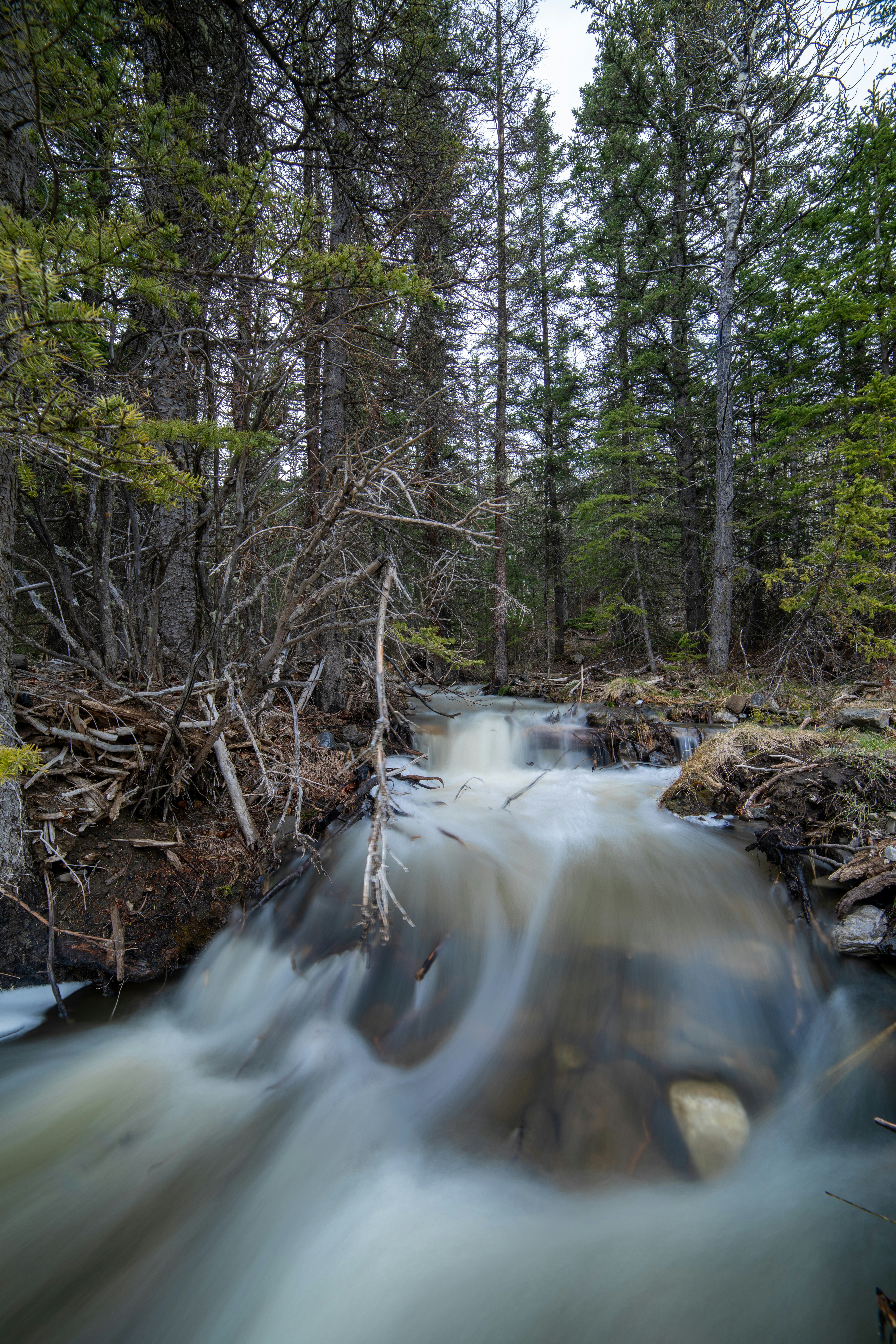 Photo by zohoorparvaz