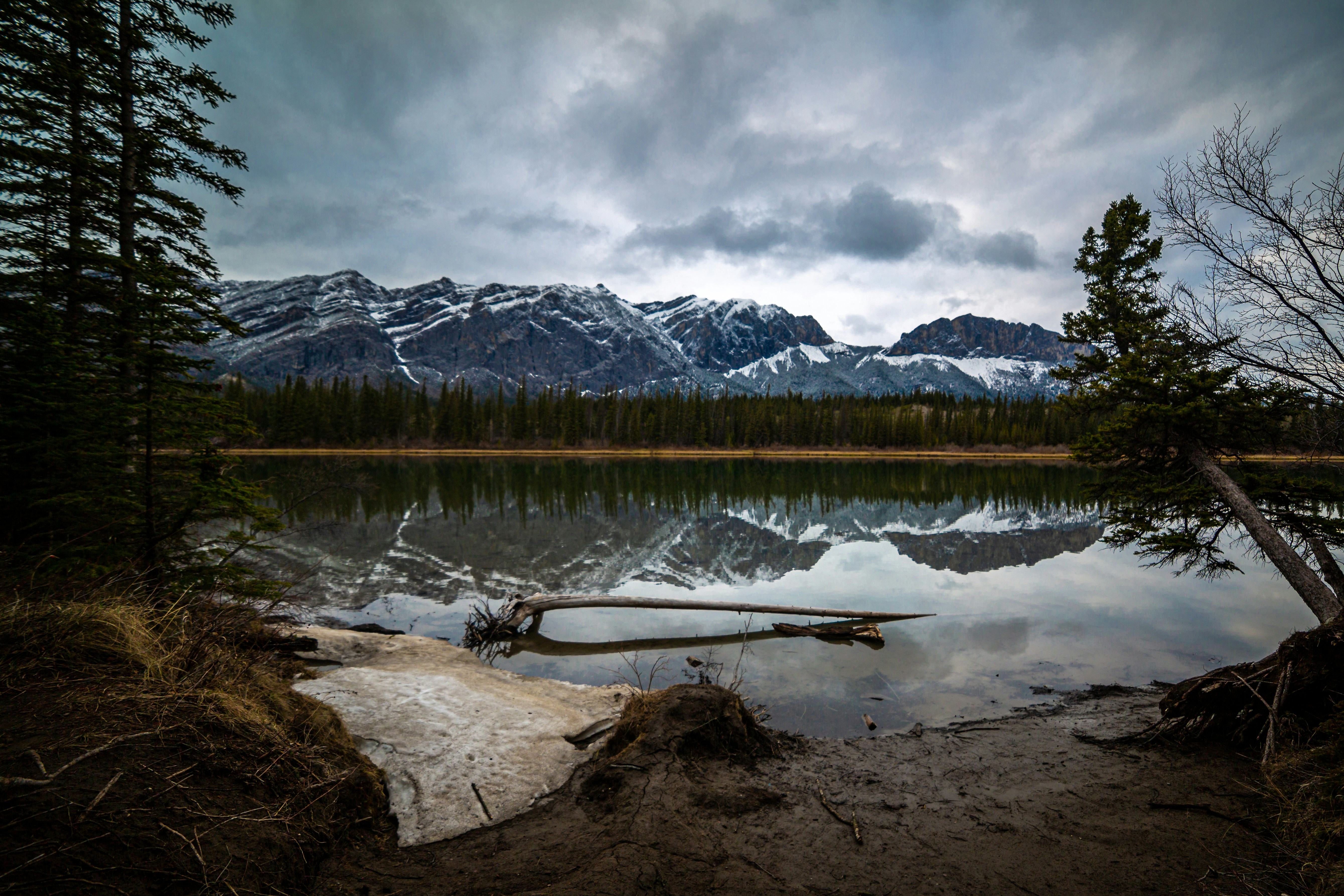 Photo by zohoorparvaz