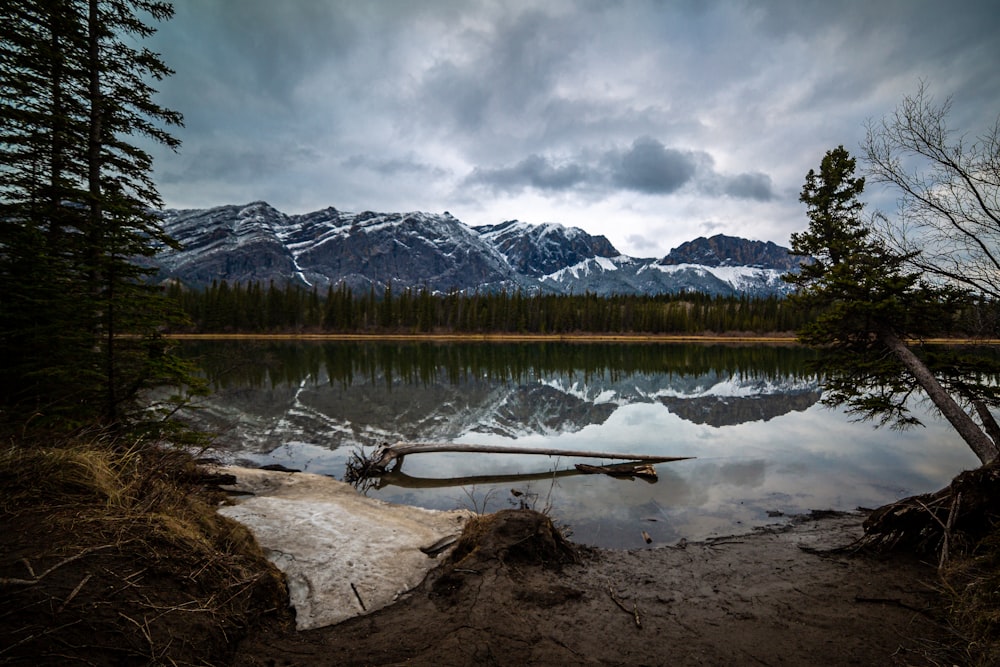 lake surrounded by green trees and mountains under white clouds and blue sky during daytime