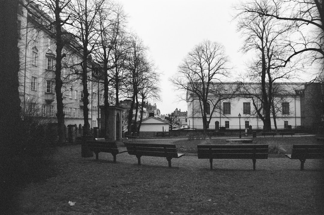 grayscale photography of bench on grass field surrounded by bare trees